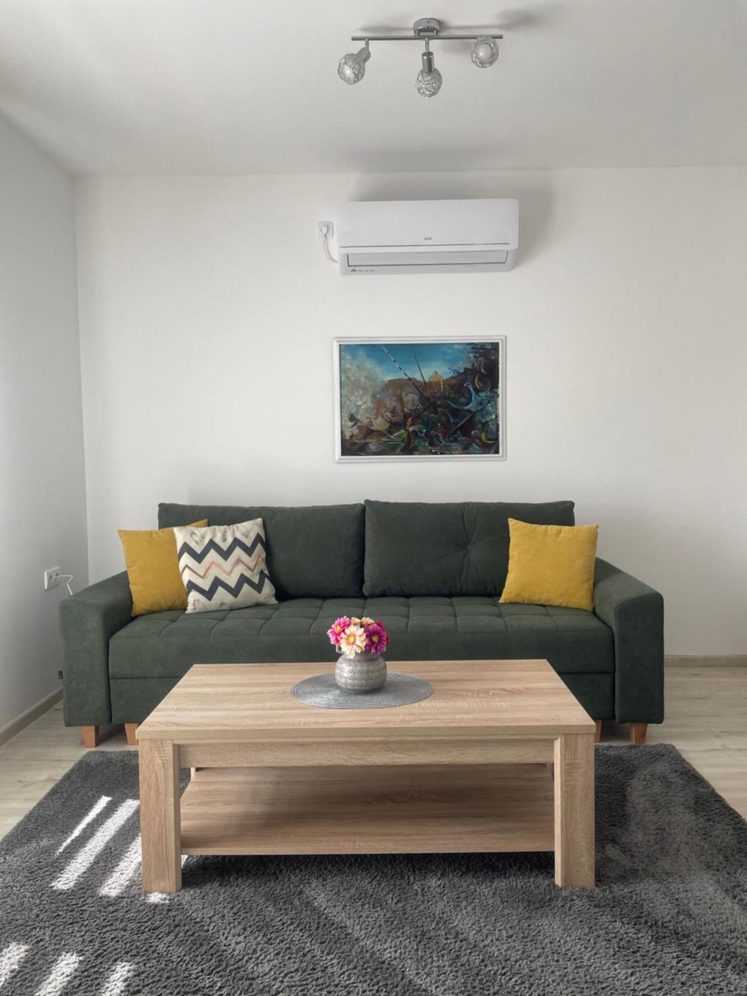 Apartman Sirena トレビニエ エクステリア 写真